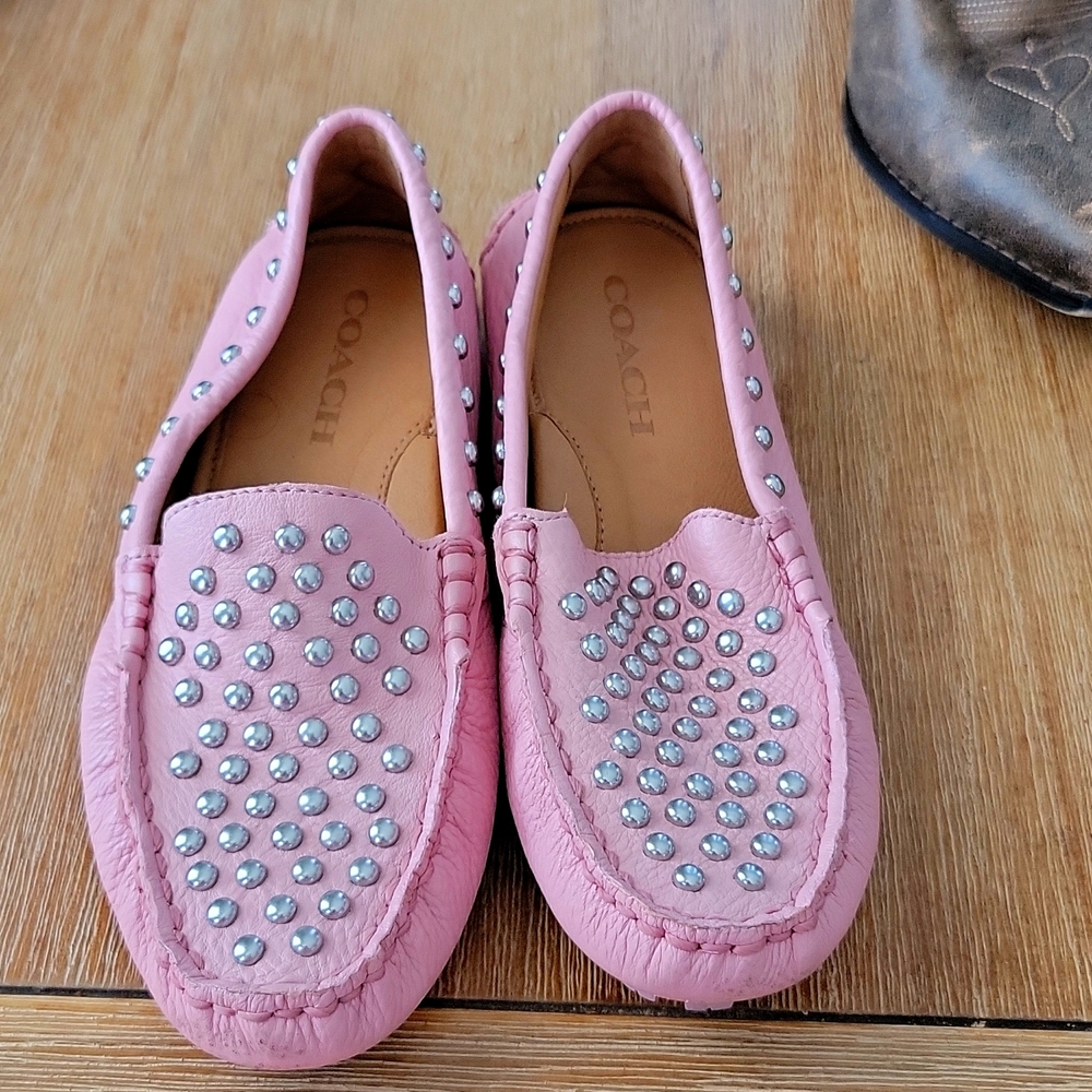 Pink coach drivers